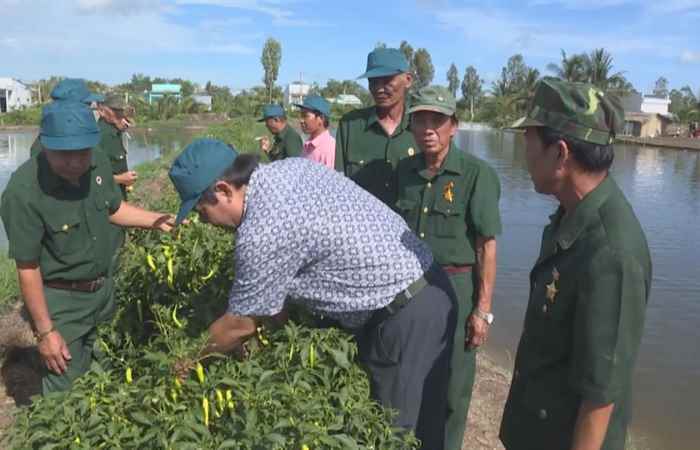Chuyên mục Cựu chiến binh - Cả Chi Hội không còn hộ nghèo (17-07-2020)